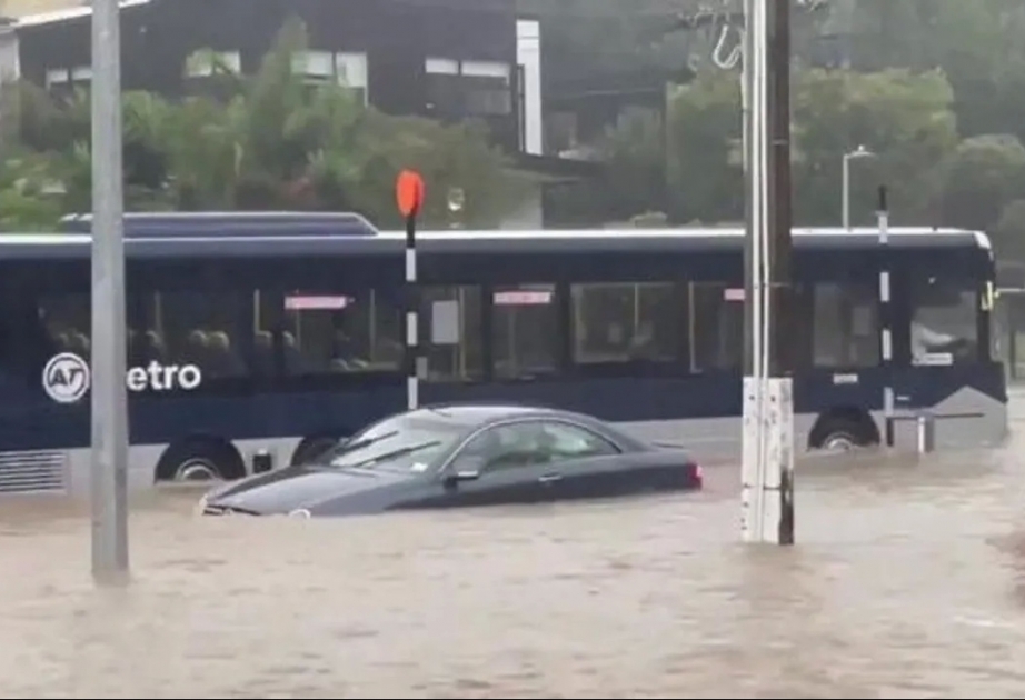 В новозеландском Окленде объявлено чрезвычайное положение из-за проливных дождей