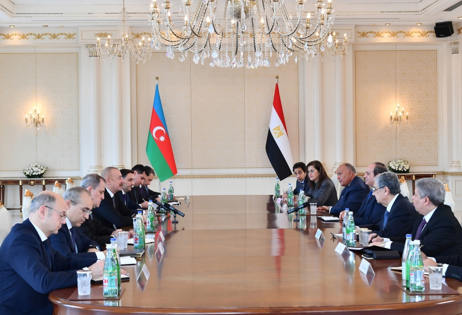  رئيس أذربيجان: سنعزز الأنشطة المشتركة مع مصر في المنظمات الدولية