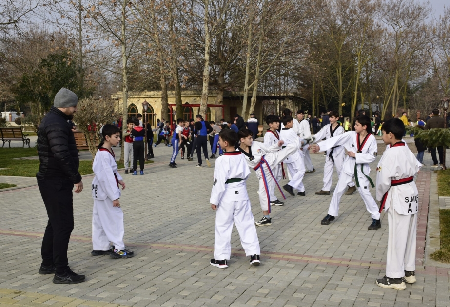 Masallıda “Gənclər həftəsi” çərçivəsində idman festivalı