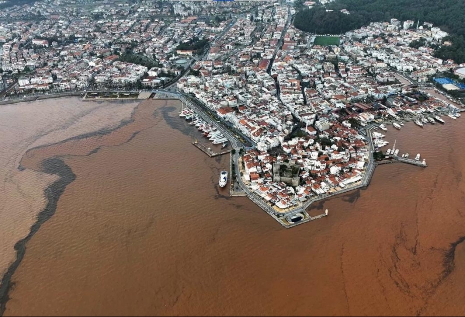 Marmarisdə dəniz suyu anidən qəhvəyi rəngə boyanıb
