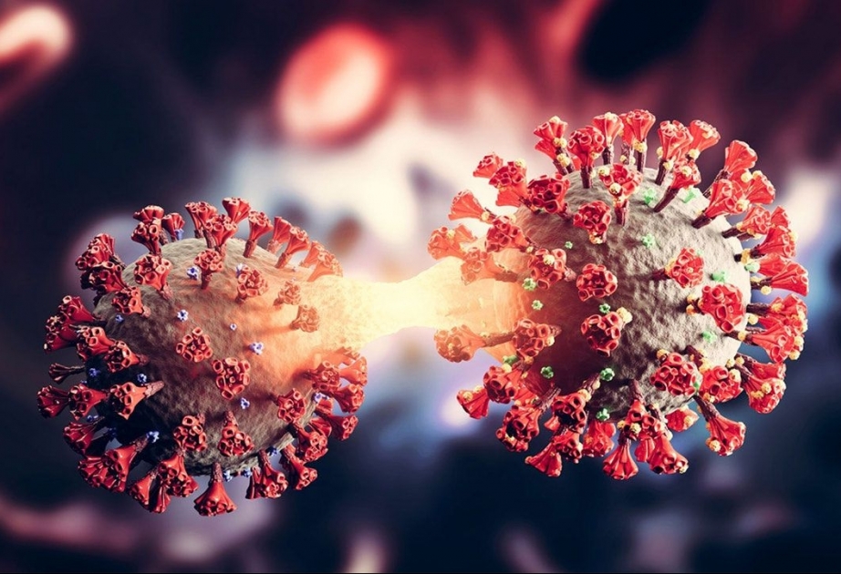 Coronavirus in Aserbaidschan: Mehr Geheilte als Infizierte am Sonntag