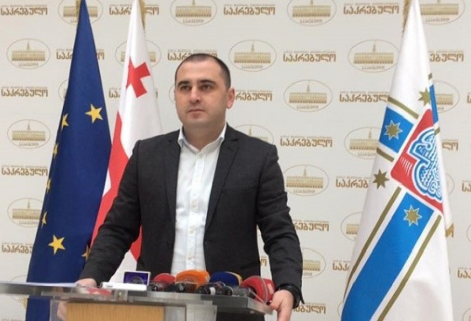 Gürcüstanın ana müxalifət partiyasına yeni sədr seçilib
