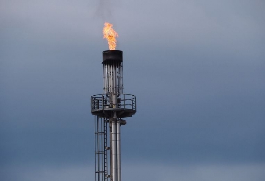14-15 февраля Турция проведет газовый саммит