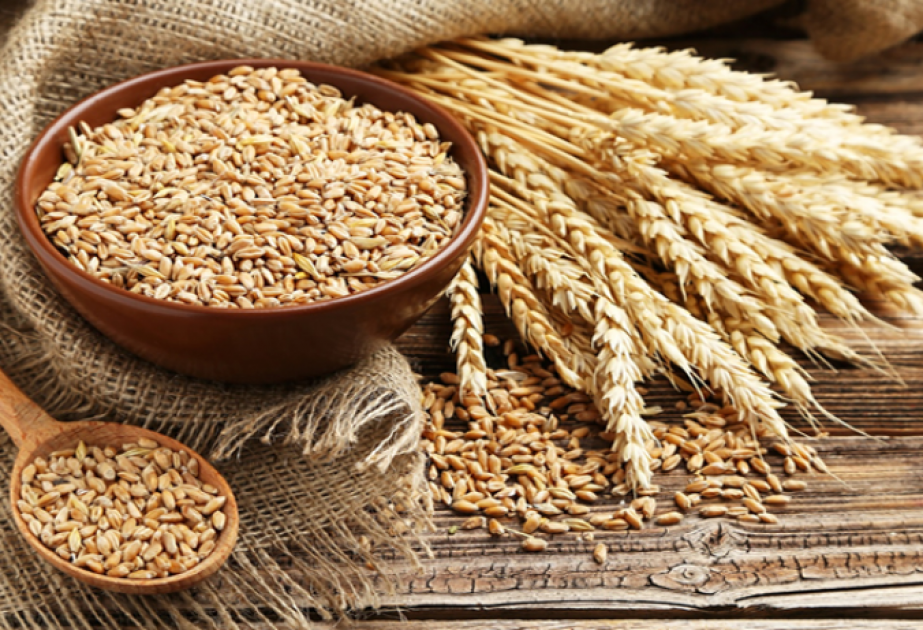 Le volume des importations azerbaïdjanaises de blé rendu public

