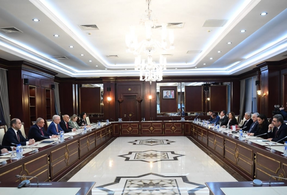 Azərbaycanla Türkiyə arasında müəllim, tələbə mübadiləsi proqramları müzakirə edilib