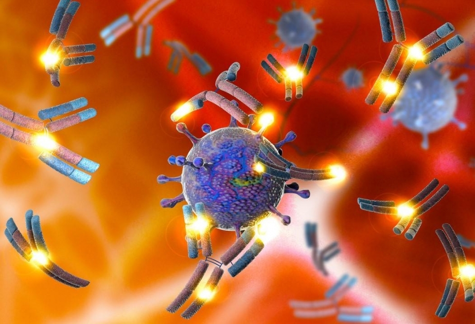 Coronavirus: Aserbaidschan meldet 35 neue Fälle