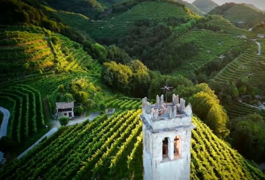Die Hügel des Prosecco - Entdecken Sie hier eine breite Palette an erstklassigen Weinen

