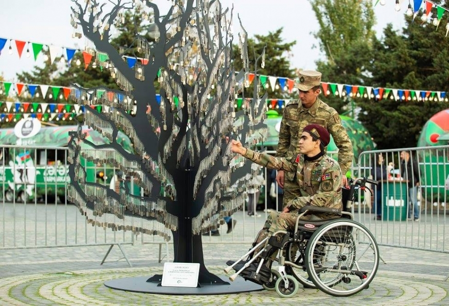 Vətən müharibəsi şəhidlərinin xatirəsinə ucaldılan “Zəfər ağacı”