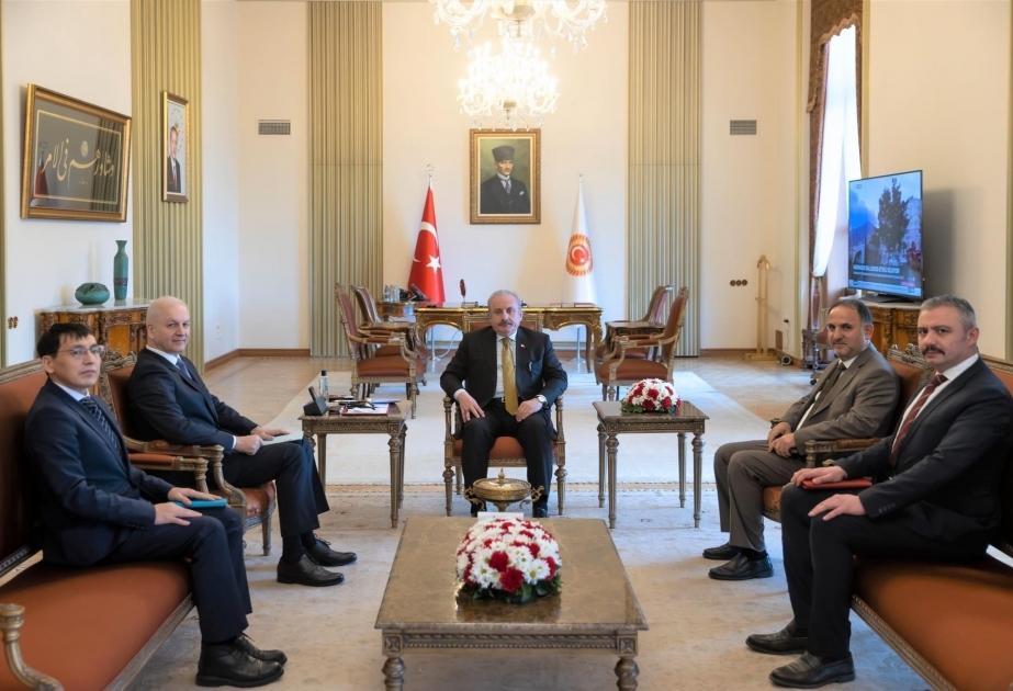 Turkish Parliament Speaker hails researches by International Turkic Academy