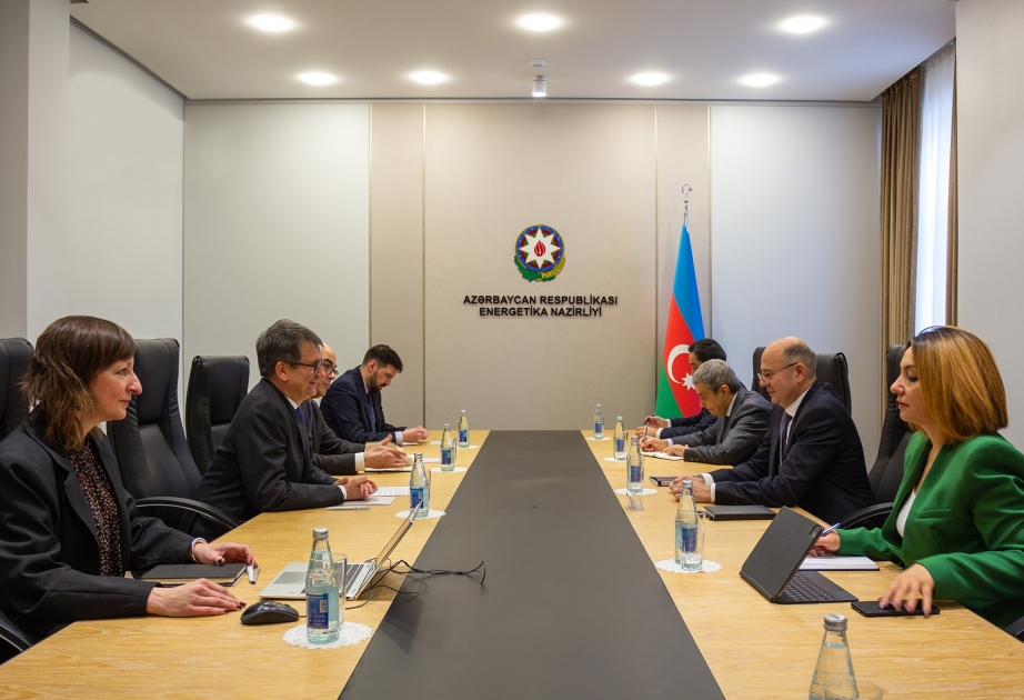 TAP-ın icraçı direktoru: Azərbaycan Avropa ölkələrinin enerji təchizatında etibarlı mənbədir