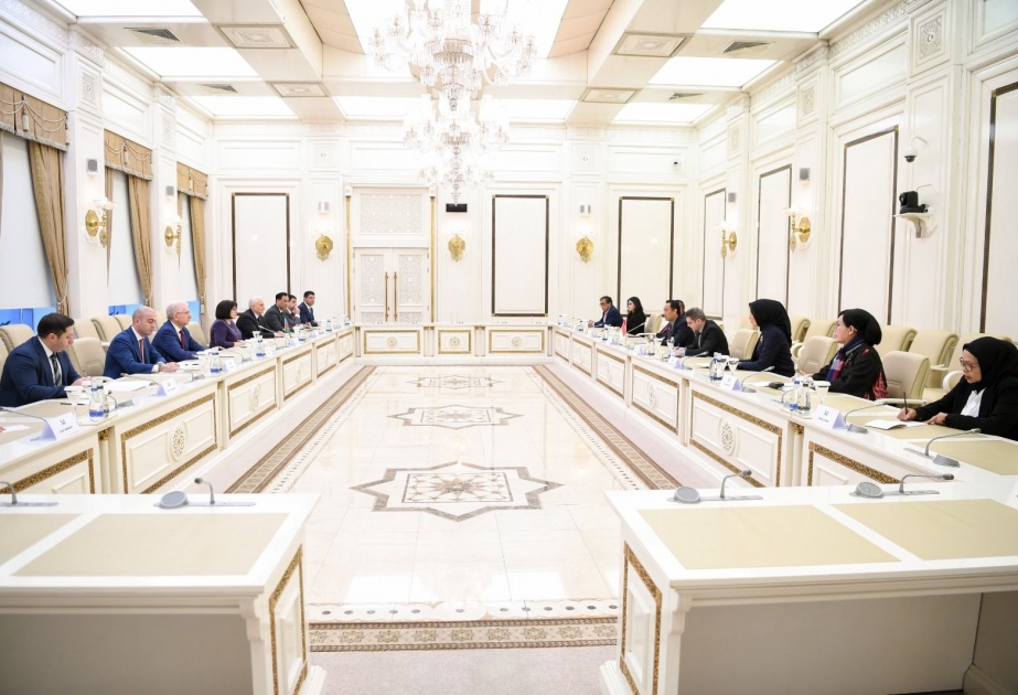 İndoneziyalı parlamentarilər işğaldan azad olunmuş ərazilərimizdəki quruculuq işləri barədə məlumatlandırılıb