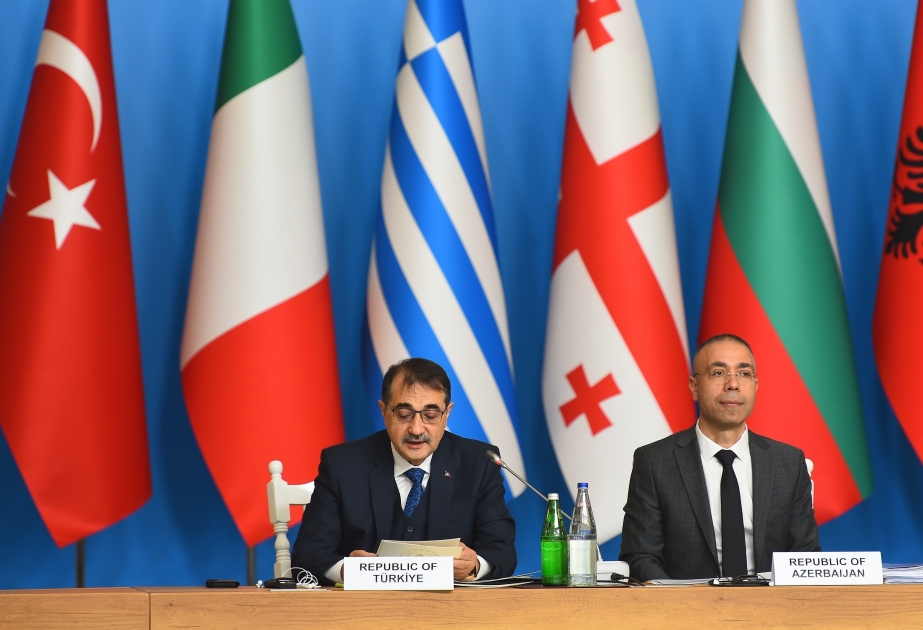 Фатих Донмез: Сегодня Азербайджан играет важную роль в энергетической безопасности Европы

