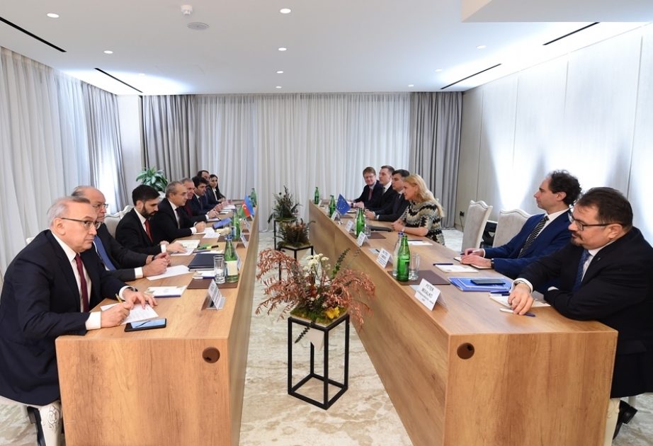 Aİ ilə Azərbaycan arasında yaşıl enerjiyə keçid strategiyası barədə fikir mübadiləsi aparılıb