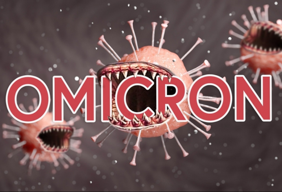 ВОЗ: В мире циркулирует более 600 подвидов омикрон-штамма коронавируса

