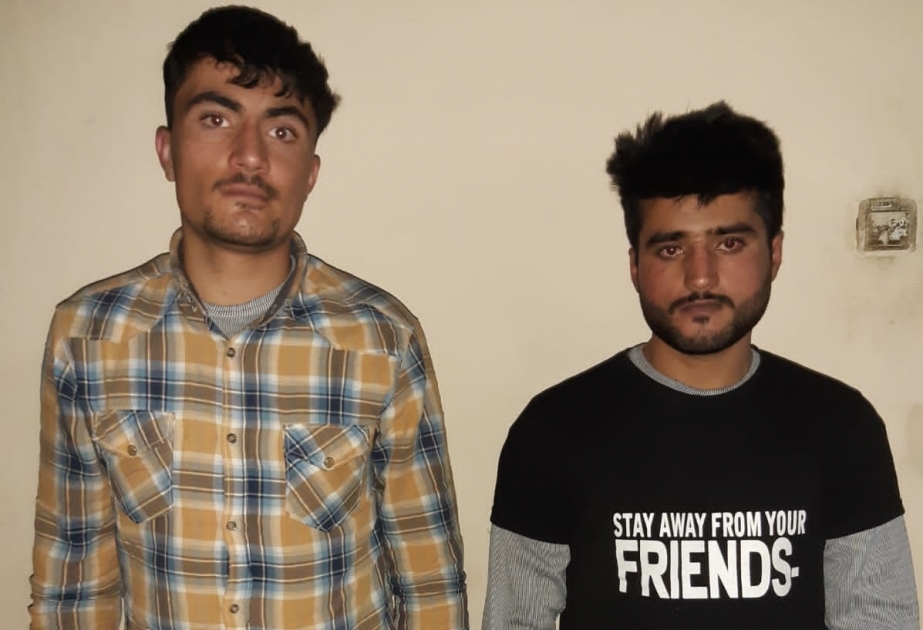 ГПС: Двое граждан Афганистана пытались пересечь госграницу

