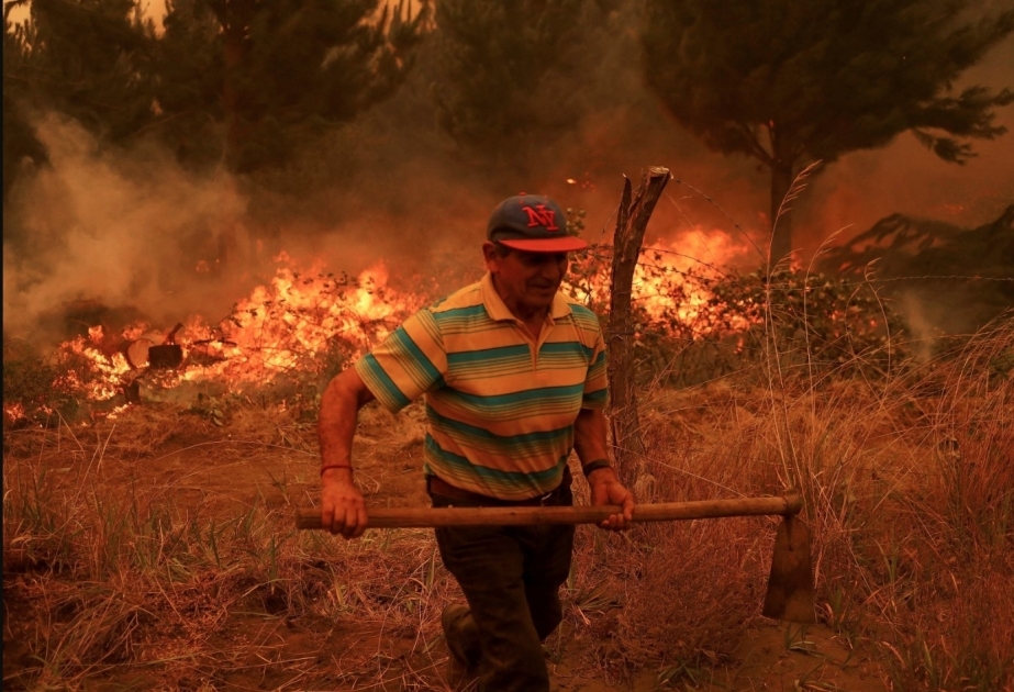 24 Tote bei Waldbränden in Chile
