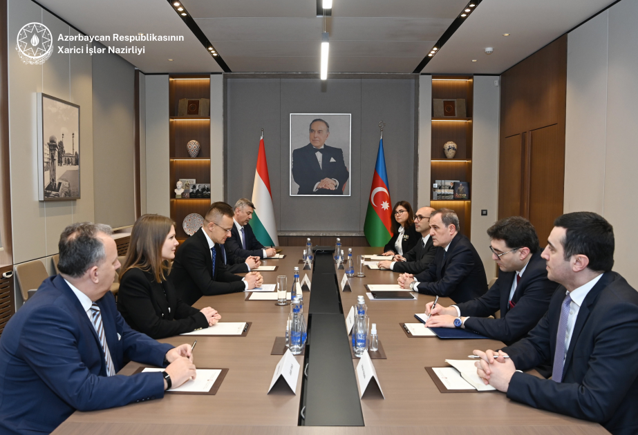 阿塞拜疆和匈牙利两国外长举行会晤