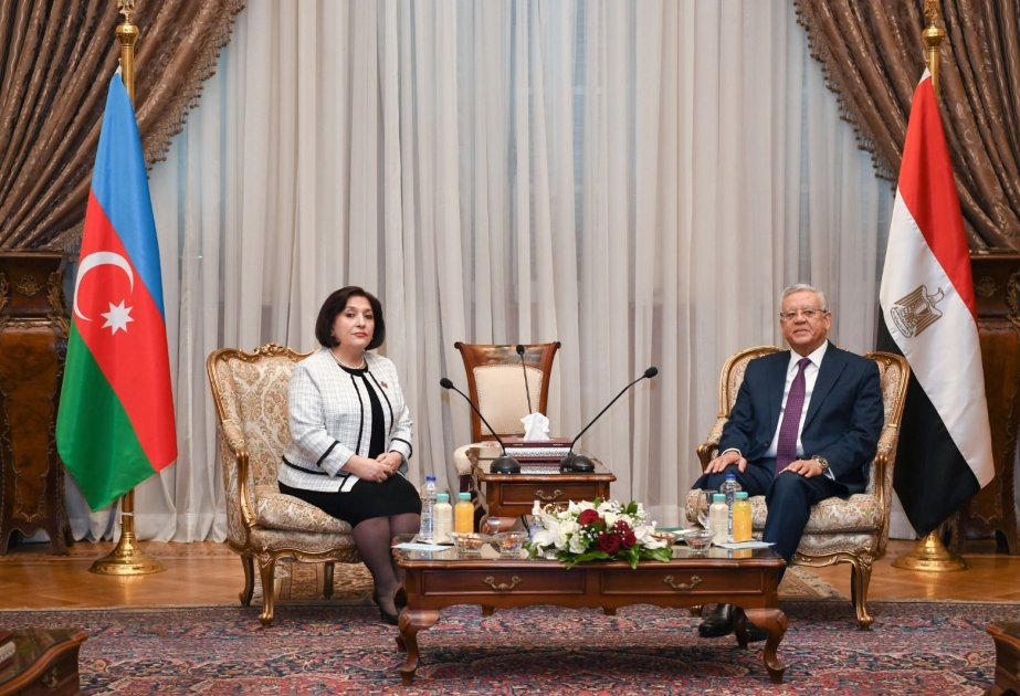 Milli Məclisin sədri Misirin Nümayəndələr Palatasının sədri ilə görüşüb