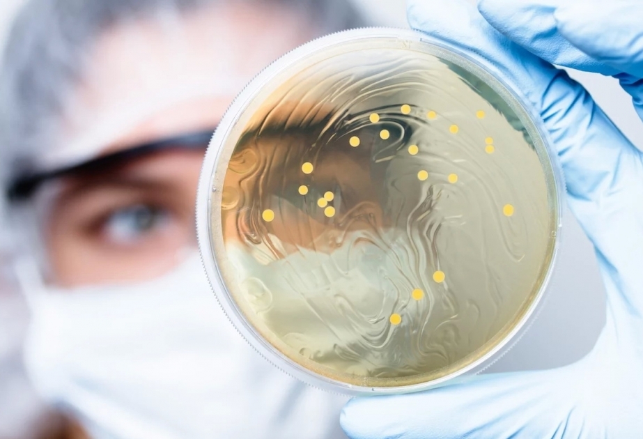 L’UNEP : Les superbactéries menacent le monde

