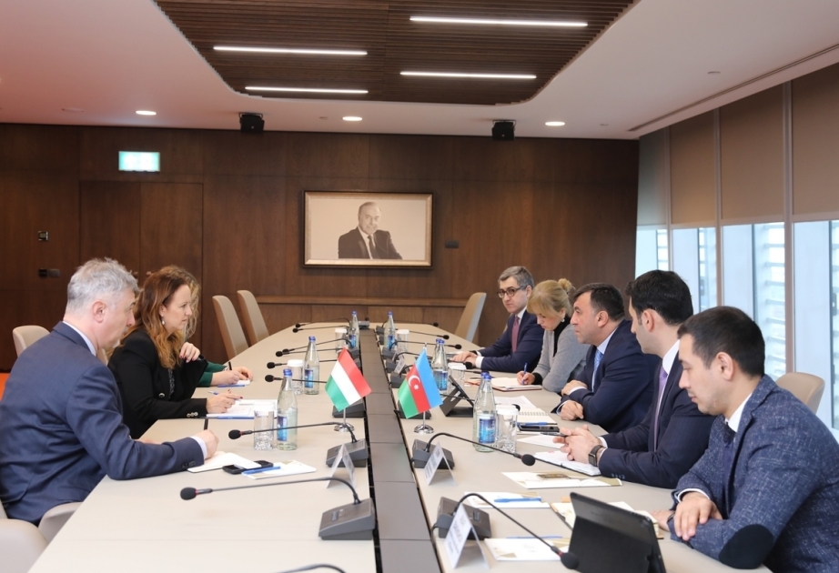 Participation of Hungarian companies in projects implemented in Azerbaijan discussed