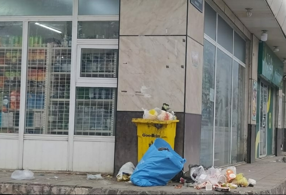 Qəbələdə ətraf mühiti çirkləndirənlər barəsində qanunamüvafiq tədbirlər görülüb
