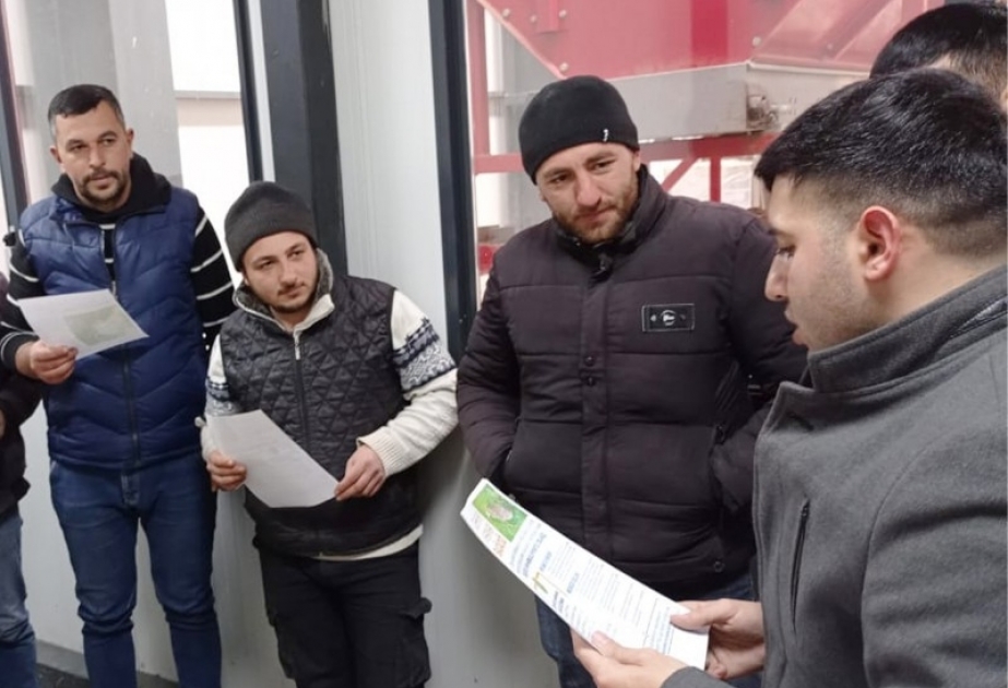 Qəhvəyi mərmər bağacığı ilə əlaqədar maarifləndirici tədbirlər aparılıb
