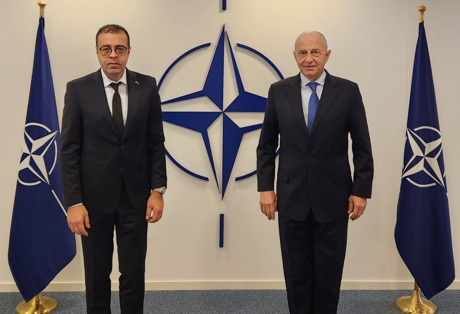 NATO Baş katibinin müavini Azərbaycanla Ermənistan arasında normallaşma prosesi barədə məlumatlandırılıb