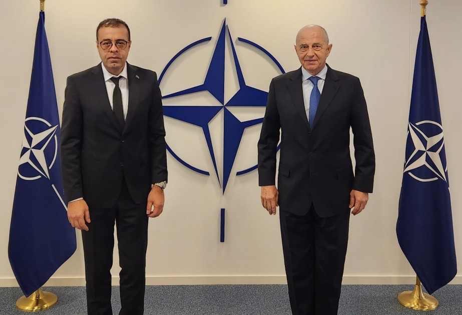 El Vicesecretario General de la OTAN está informado del proceso de normalización entre Azerbaiyán y Armenia