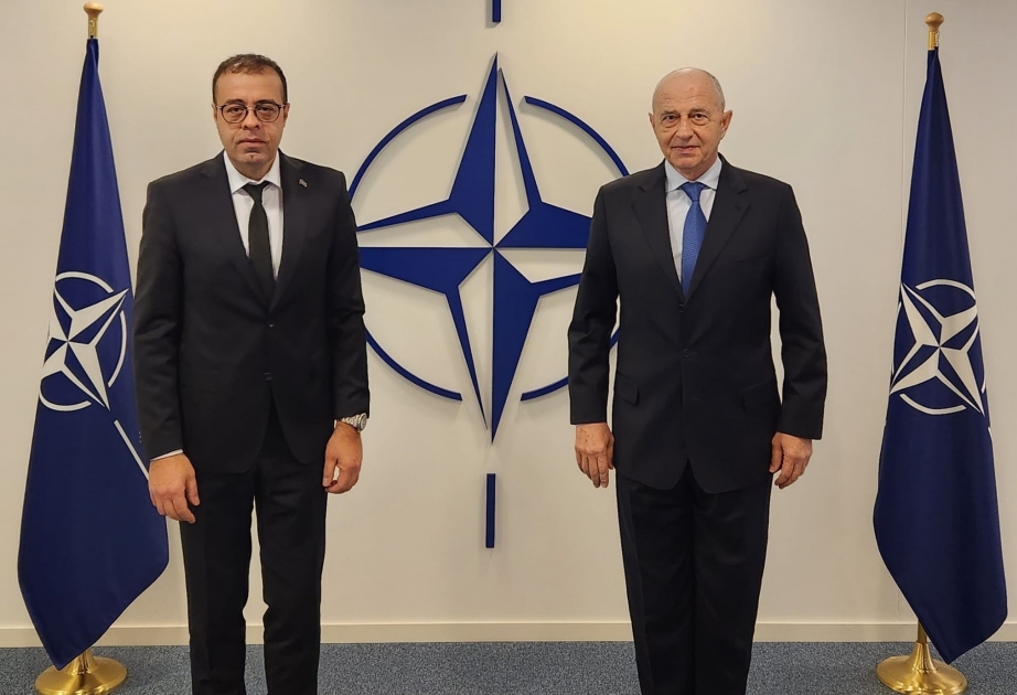 NATO deputy secretary general informed on Azerbaijan-Armenia normalization process

