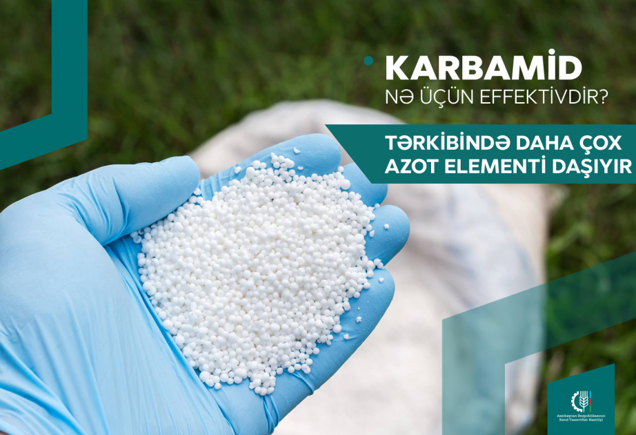 Karbamid gübrəsini necə düzgün istifadə etməli? -  fermerlərə tövsiyə