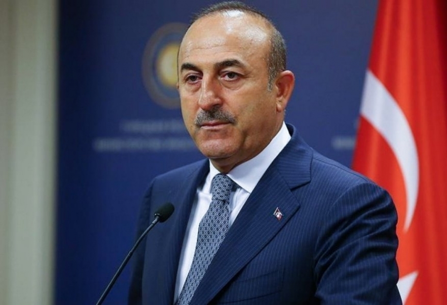 Mevlut Cavusoglu: Tents and other necessary supplies constantly delivered from Azerbaijan

