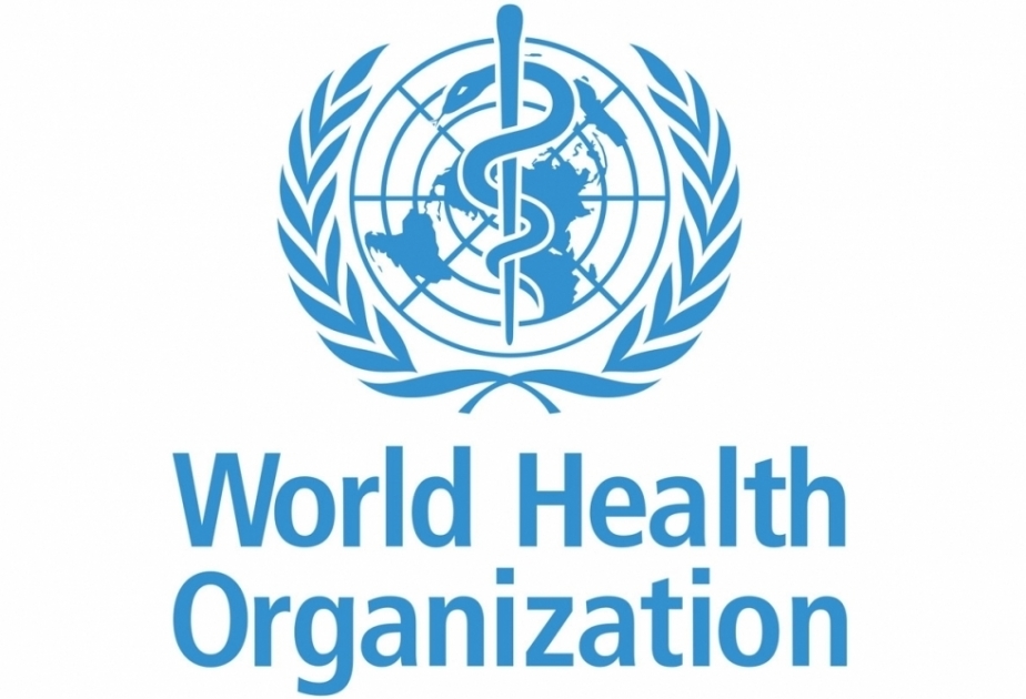 WHO warns of increasing number of cholera outbreaks and their geographic expansion