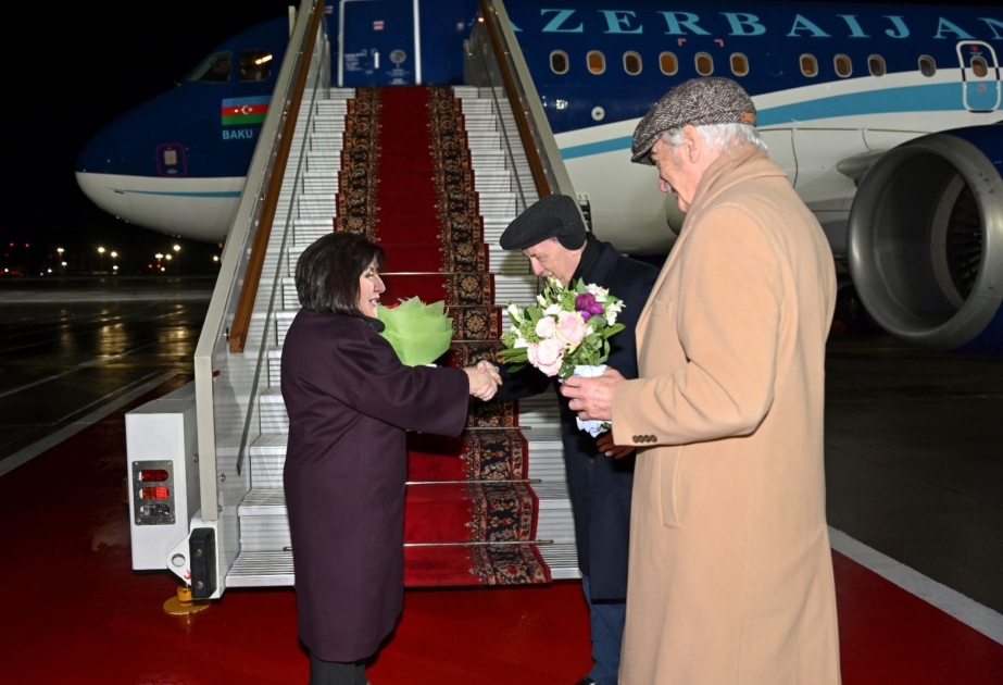 Milli Məclisin sədri Sahibə Qafarovanın Rusiyaya rəsmi səfəri başlayıb