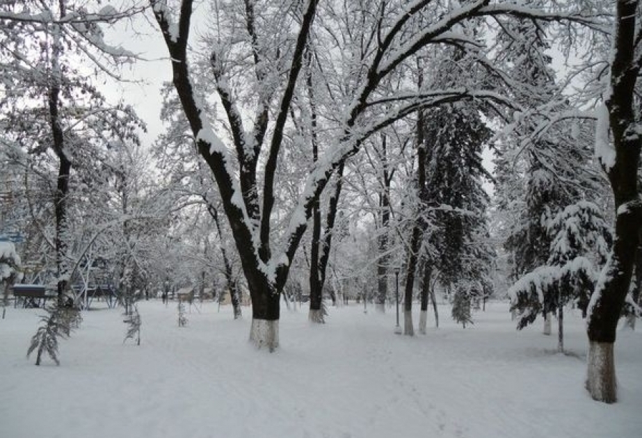 Фактическая погода: В Закатале, Шеки и Балакене идет снег