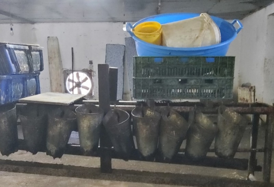 Qubada quş kəsimi müəssisəsində nöqsanlar aşkarlanıb