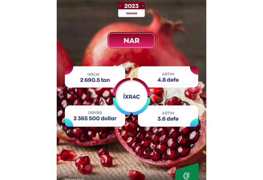 Nar ixracında 4,8 dəfə artım qeydə alınıb