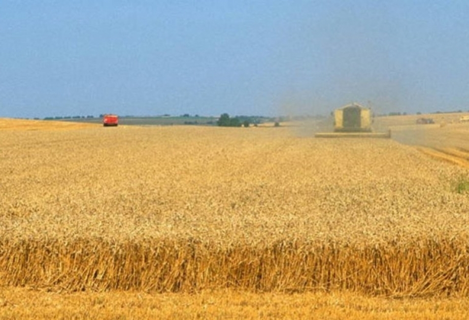 La FAO : Une meilleure gestion des prairies peut renforcer la capacité des sols à stocker du carbone

