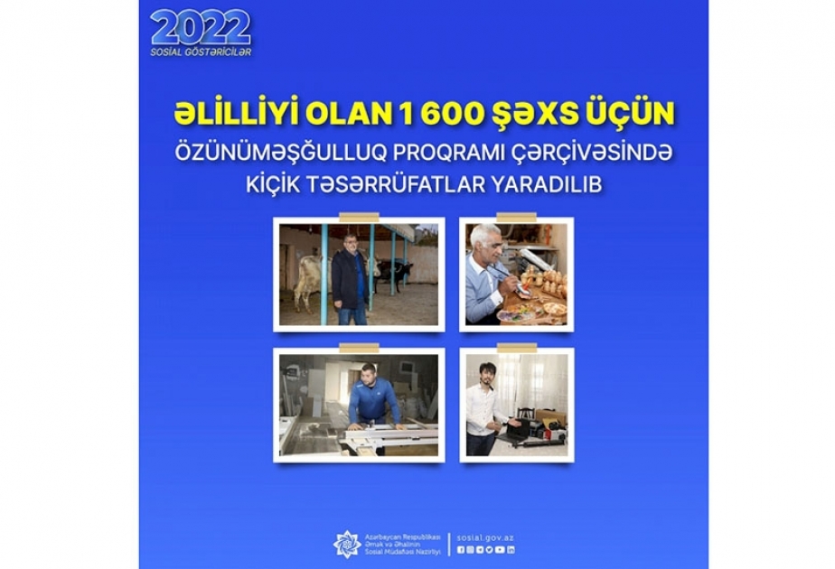 Ötən il əlilliyi olan 1600 şəxs üçün özünüməşğulluq proqramı çərçivəsində kiçik təsərrüfatlar yaradılıb