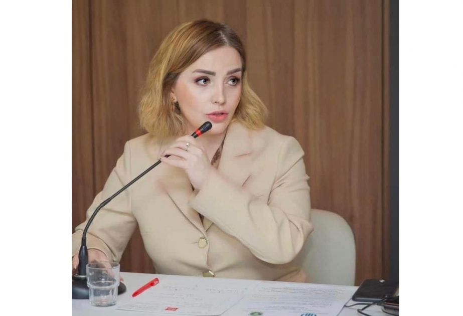 Azərbaycan Prezidenti Münxen Konfransında sabitliyin təmini üçün ciddi addımlar atan müəllif kimi çıxış edir
