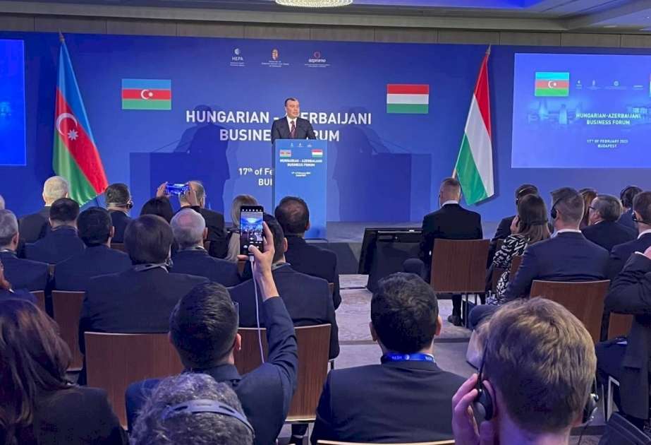Aserbaidschanisch-ungarisches Wirtschaftsforum in Budapest