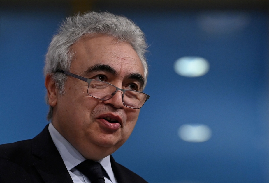 BEA rəhbəri: Növbəti qış Aİ üçün daha çətin keçəcək