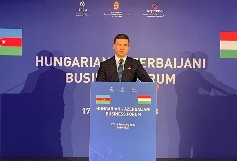 Orxan Məmmədov: KOBİA təcrübəsini Macarıstanla bölüşməyə hazırdır