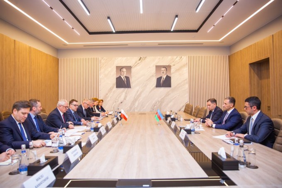 Azerbaijan, Poland look into development of Middle Corridor and cooperation in ICT
