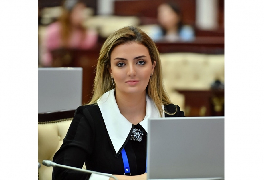 Münxendə bir daha aydın oldu ki, sülhlə bağlı bütün səmərəli təkliflərin müəllifi Azərbaycan Prezidentidir