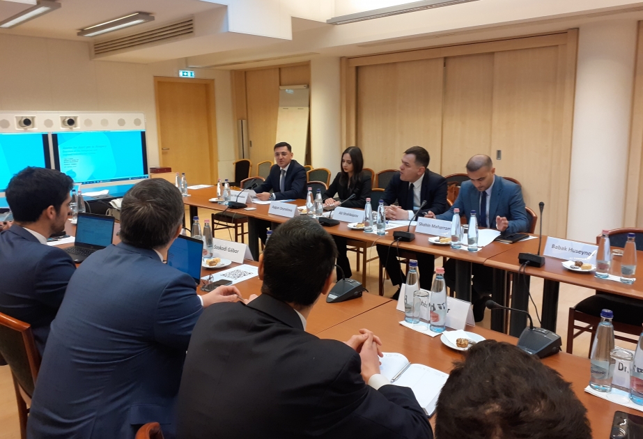 AREA-nın direktor müavini Budapeştdə Enerji üzrə İşçi Qrupunun iclasında çıxış edib