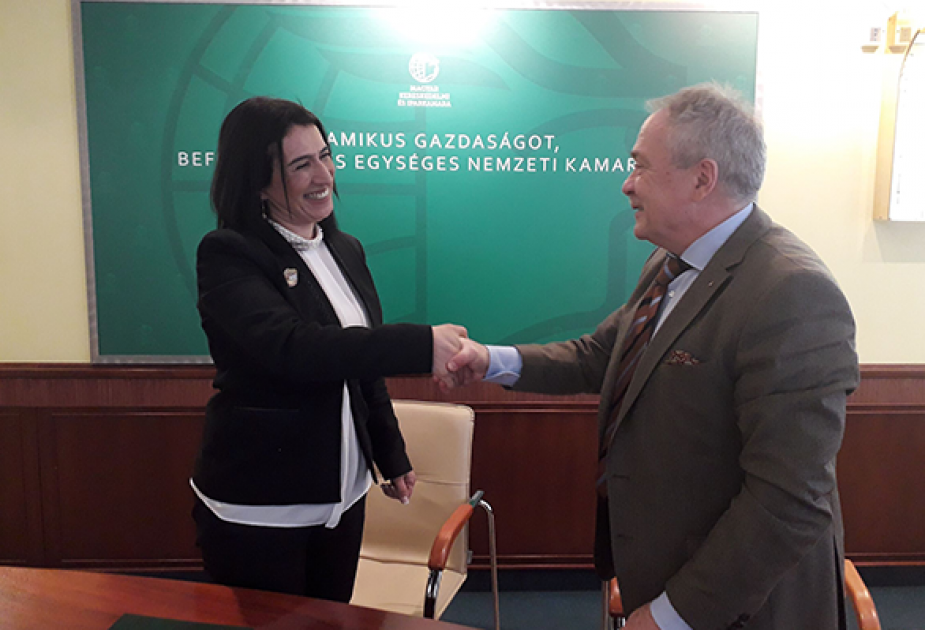 تأسيس مجلس الأعمال الأذربيجاني المجري المشترك