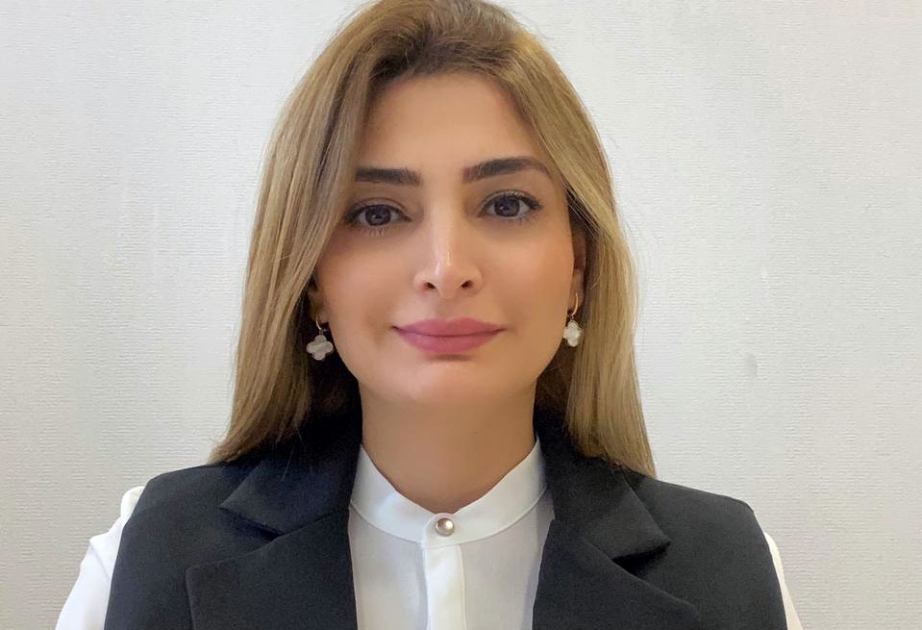 Bakı kimdənsə nəyisə rica etmir, öz şərtlərini diktə edir – Siyasi ekspert