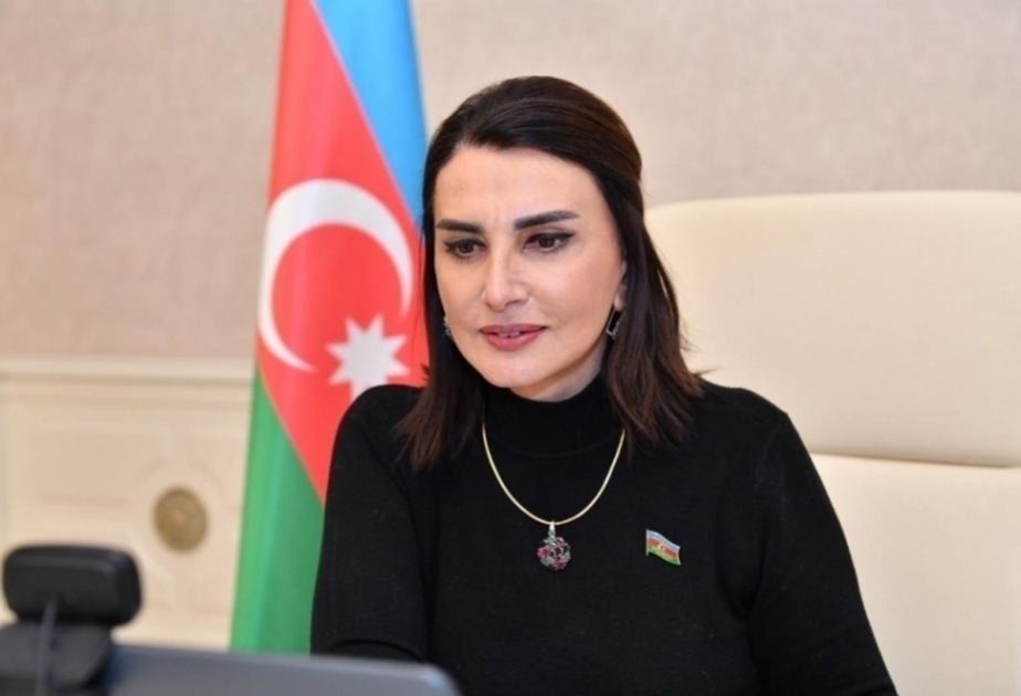 Münxen Təhlükəsizlik Konfransı ölkəmiz üçün diplomatik təşəbbüslər platformasına çevrildi –  Jalə Əliyeva