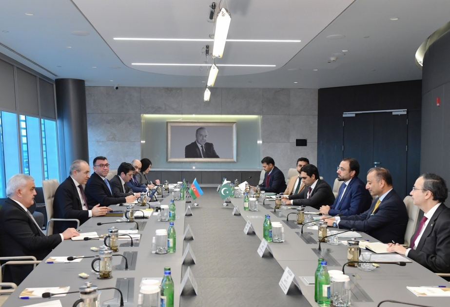 Azerbaijan, Pakistan discuss cooperation in fields of investment, trade and energy

