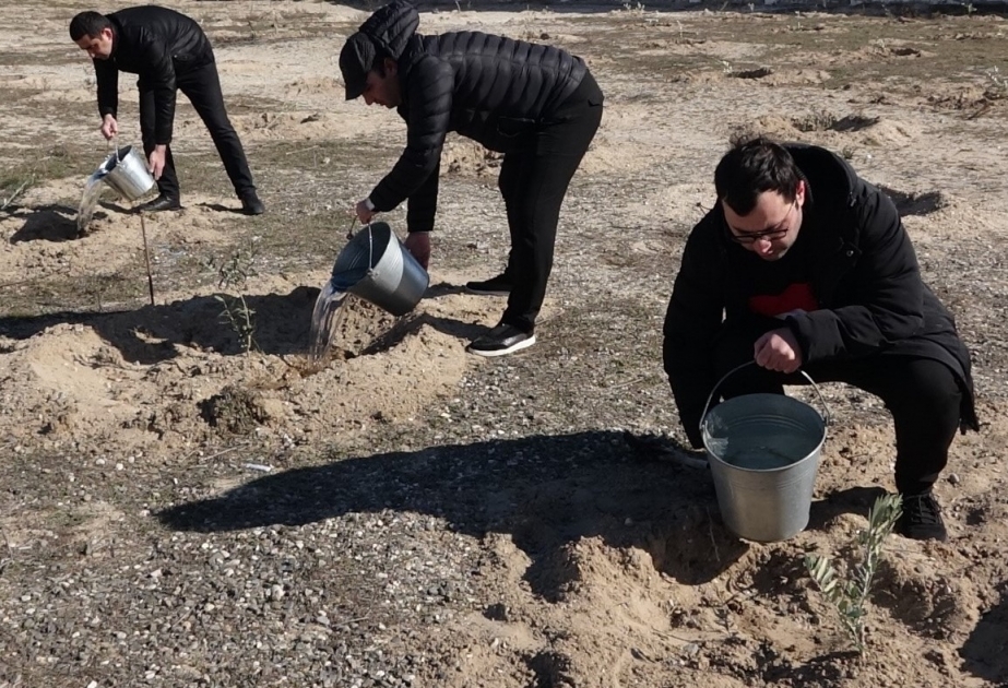 Türkan qəsəbəsində Ulu Öndərin 100 illik yubileyi münasibətilə ağacəkmə aksiyası keçirilib